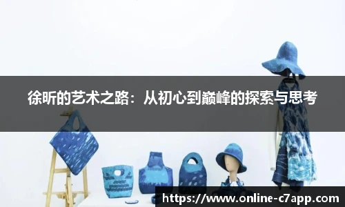 徐昕的艺术之路：从初心到巅峰的探索与思考